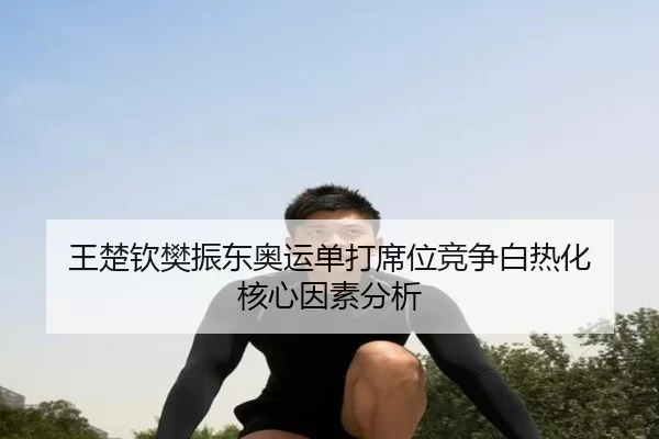 王楚钦樊振东奥运单打席位竞争白热化 核心因素分析